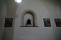 Kanary_2010 145